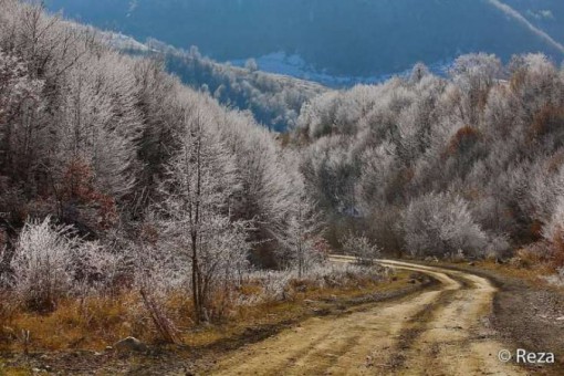 ŞAD XƏBƏR! Bu tarixdən Kəlbəcərə yol çəkilişinə başlanılacaq