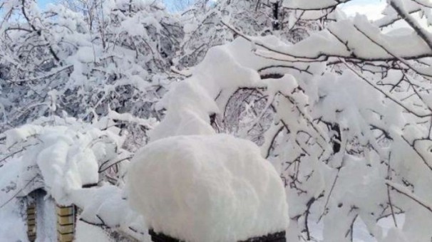 Sabahın hava proqnozu açıqlandı