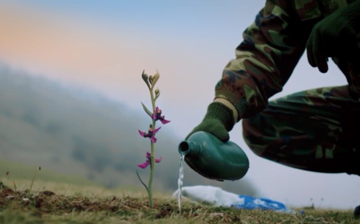 Mədəniyyət Nazirliyi "Xarı bülbül" adlı videoçarx hazırladı