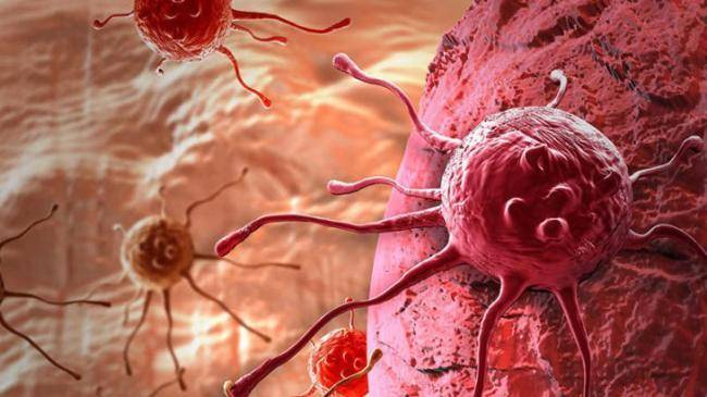 Xərçəngə səbəb olan qidalar -