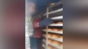 Şuşada ilk çörək sexi fəaliyyətə başladı -