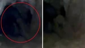 Mağaradakı məxluq hər kəsi qorxutdu -  Xəbər şəkili