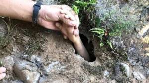 Çaya düşən azyaşlı möcüzə nəticəsində xilas oldu -