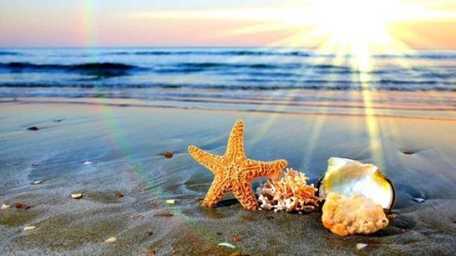 Yay fəslinin Azərbaycana gəlmə vaxtı açıqlandı