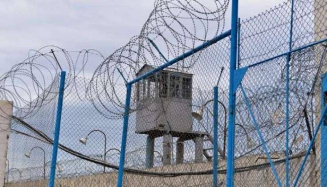 Əfvlə bağlı daha 100-dən &ccedil;ox m&uuml;raciətə baxıldı