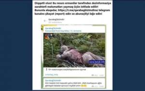 Ermənilər saxta xəbərləri yaymaqda davam edirlər -