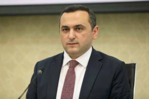 TƏBİB sədrindən HƏYƏCAN TƏBİLİ: Xəbər şəkili