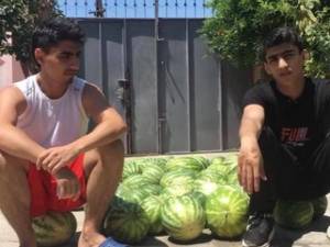 190 manat alıb, qarpız qıran &ldquo;Zevs&rdquo;lə bağlı - Xəbər şəkili