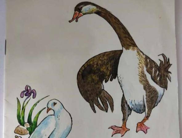 Uşaq ədəbiyyatında biabırçılıq: "Evli olduğunu bilsə də qazın..." -