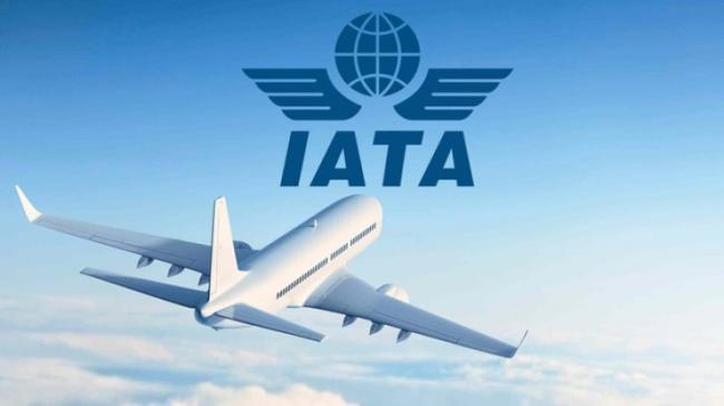 IATA: Bu il &quot;aviasiya tarixinin ən pis ili&quot; olacaq