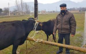 İki şəhid ailələri və qazilər üçün təsərrüfatlar yaradıldı -