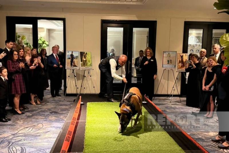 ABŞ-də ANAMA əməkdaşına və itinə "İlin minaaxtaran it komandası" mükafatı təqdim olunub