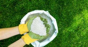 Azərbaycanda gübrə istehsalı artıb