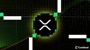 XRP İnvestoru 3 Milyon Dollarlıq XRP İtirib: Soyuq Pulqabı İstehsalçısı Problemin Bərpa Kodunun Daxil Edilməsindən Yarandığını Deyir Xəbər şəkili