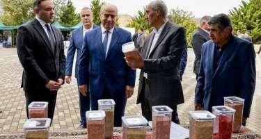 Qobustanda Aqrar Biznes Festivalı və toxum yarmarkası keçirilib