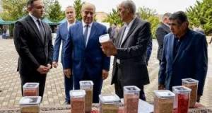 Qobustanda Aqrar Biznes Festivalı və toxum yarmarkası keçirilib Xəbər şəkili