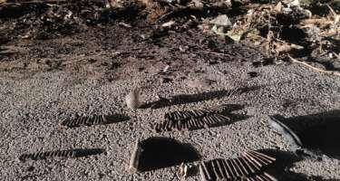 Bakıda qumbara və avtomat tapıldı