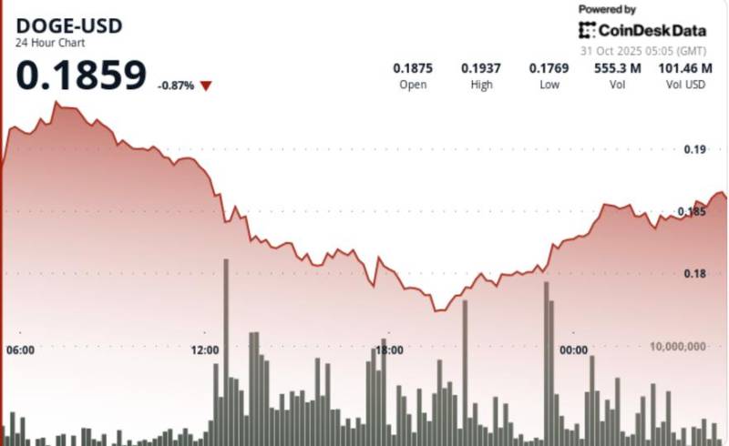 Dogecoin Kəskin Düşüşdə: $0.1940 Dəstək Səviyyəsi Niyə Qırıldı və Həcm Necə Artır?