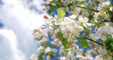 Martın 8-nə olan hava proqnozu açıqlandı