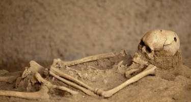 Cəbrayılda insan sümükləri aşkarlandı