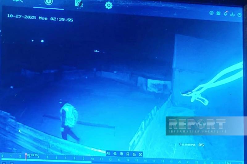 Göygöldə fermadan heyvanların oğurlanması ilə bağlı cinayət işi açılıb - YENİLƏNİB