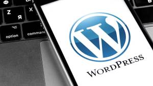 WordPress Platforması Ətrafında Böyük Hüquqi Mübahisə: Automattic WP Engine-i Məhkəməyə Verir Xəbər şəkili