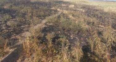 Ağsuda məişət tullantıları yandıran şəxs yanğına səbəb oldu