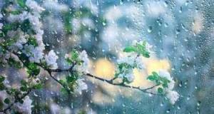 Yağıntılar nə vaxta kimi davam edəcək?  Xəbər şəkili