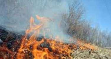 Bu rayonlardakı yanğınlar tam söndürüldü