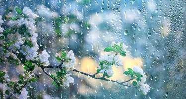 Bəzi yerlərdə yağış yağır