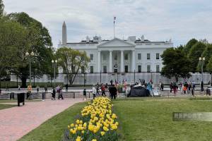 ABŞ ilin sonunadək Azərbaycan və Ermənistanla ilk İşçi qrupları yaradacaq - EKSKLÜZİV