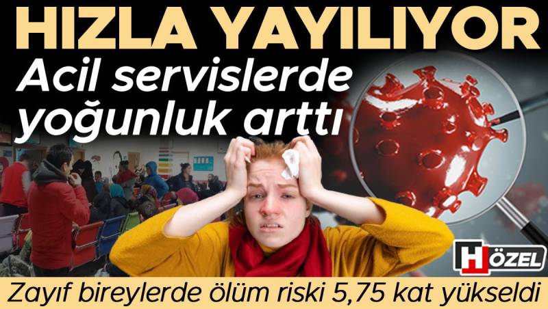 Təcili Yardım Şöbələrində Kritik Sıxlıq: Xəstəlik Sürətlə Yayılır və Zəif Şəxslərdə Ölüm Riski 5,75 Dəfə Yüksəlir