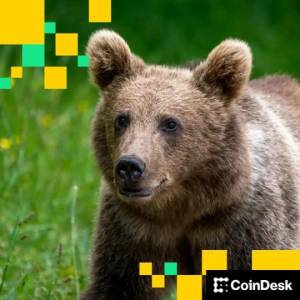 Bitcoin ehtiyatı saxlayan şirkətlərin bazar dəyəri holdinqlərinin qiymətindən niyə aşağı düşüb? Xəbər şəkili