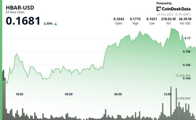 HBAR Tokeninin Dəyəri 1.7% Azaldı: 0.170 Dollara Düşmə və Kanal Dəstəyinin Dağılması