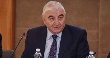 Bütün dairələrdə seçkilər normal keçib - Məzahir Pənahov