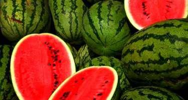 May-İyun aylarında 8 nəfər qarpızdan zəhərlənib – Ölüm Halı Qeydə Alınmayıb