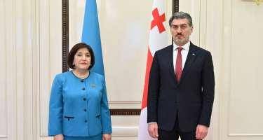 Gürcüstan Prezidenti Milli Məclisdə oldu