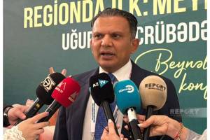 Dr. Mircəlal Kazımi: Azərbaycanda 700-ə yaxın insan sağlığında orqan bağışlanmasına razılıq verib Xəbər şəkili