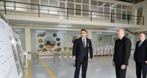 Prezident müəssisə fəaliyyəti ilə tanış olub