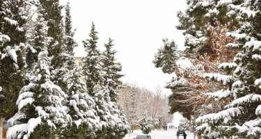 Sabah qar yağacaq? -PROQNOZ