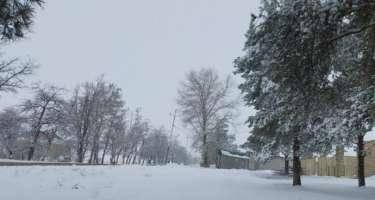 Rayonlara qar yağdı - VİDEO