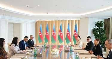 Mehriban Əliyeva Mərakeşin xanım Şahzadəsi ilə görüşdü