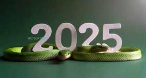 2025-dən kimlər qazanclı çıxacaq? - Qıtlıq, qısqanclıq, boşanmalar ili Xəbər şəkili