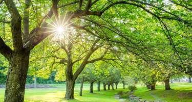 İyunun 11-də havanın temperaturu dəyişəcək