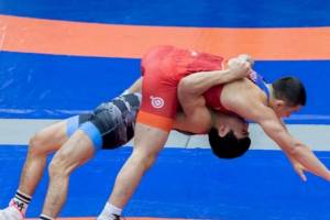 Milli güləş üzrə Azərbaycan çempionatı keçiriləcək Xəbər şəkili