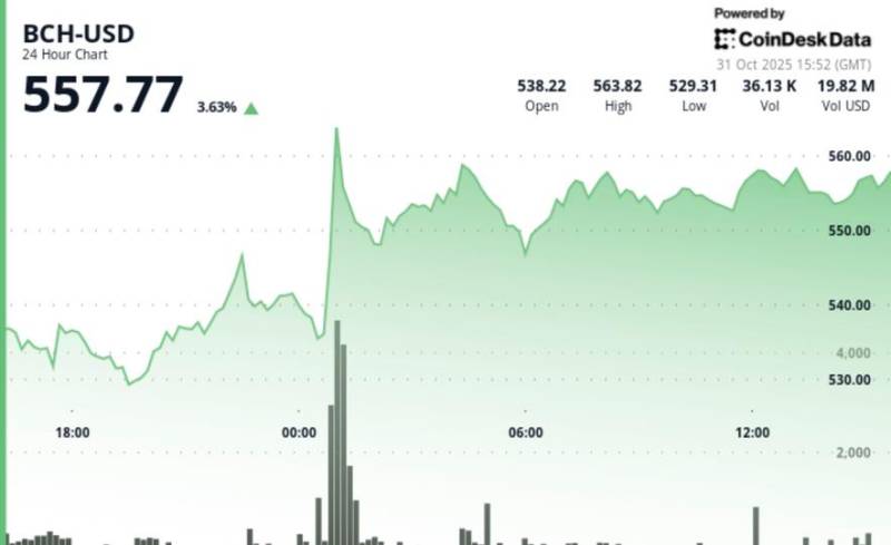 Bitcoin Cash (BCH) 550 Dollar Səviyyəsini Aşdı: Həcm Kəskin Artdı, Treyderlər Dəstək Nöqtəsini Gözləyir