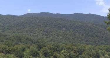 Qazi Zaqatalada dağlıq ərazidə necə ölüb? - TƏFƏRRÜAT