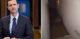 Əsədin sarayının sirri üzə çıxdı