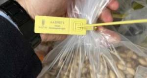 Azərbaycana idxal olunan Antep fıstığında uyğunsuzluq aşkarlandı Xəbər şəkili