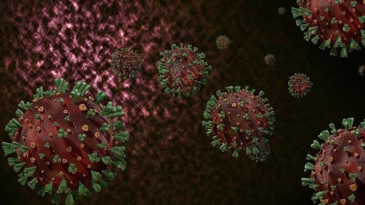 ÜST: Meymunçiçəyi Virusunun Klad 1b Ştammı Artıq Afrikadan Kənara Yayıldı